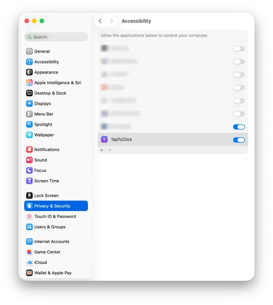 Grant Accessibility permission in System Settings